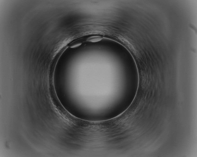 X0000095540482200712141528