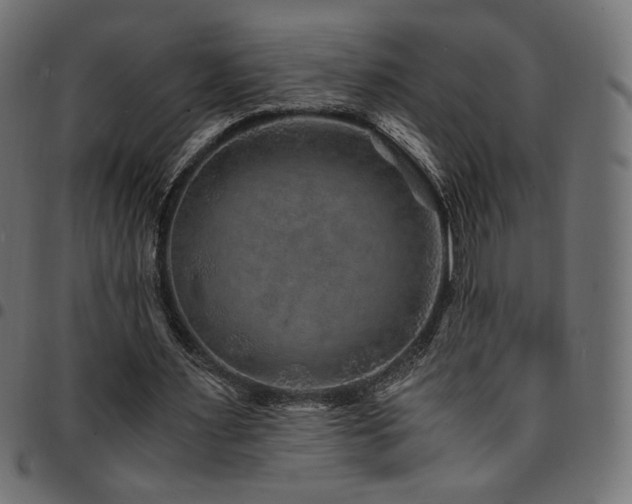 X0000095540483200712141528