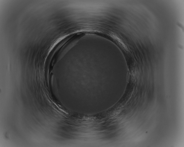 X0000095540484200712141528