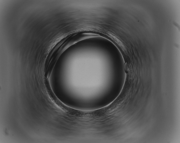 X0000095540485200712141528