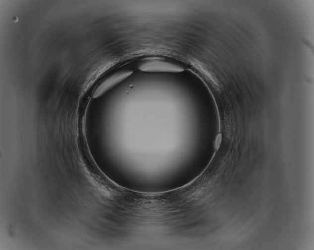 X0000095540486200712141528