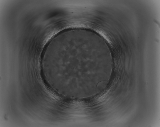 X0000095540487200712141528