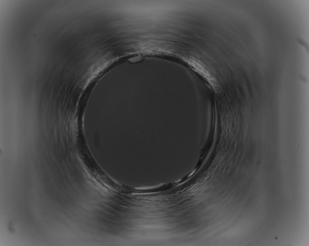 X0000095540488200712141528