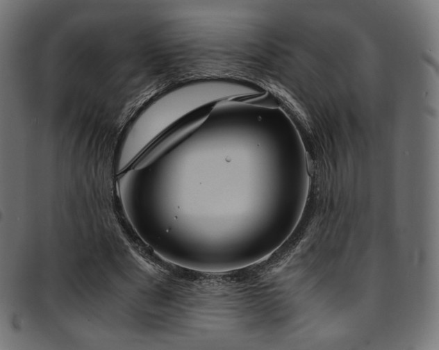 X0000095540489200712141528