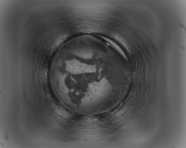 X0000095540491200712141528