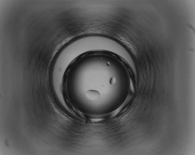 X0000095540492200712141528