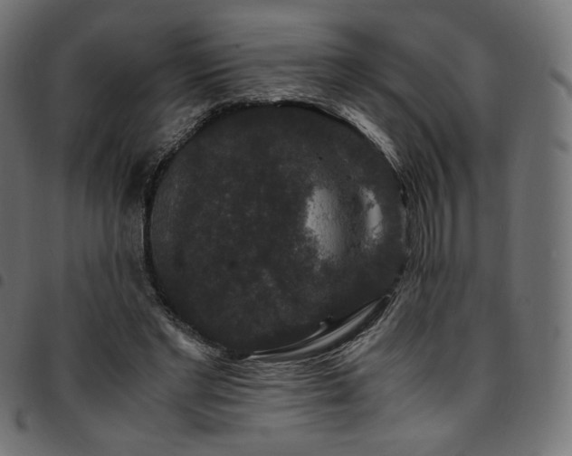 X0000095540493200712141528