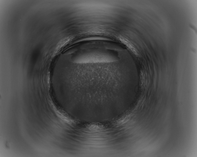 X0000095540494200712141528