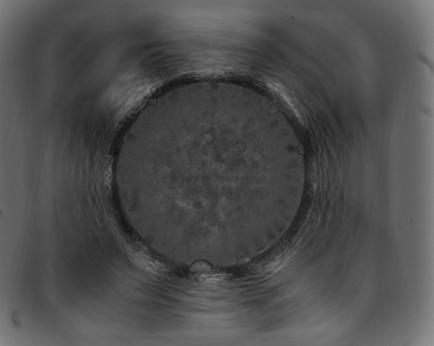 X0000095540495200712141528