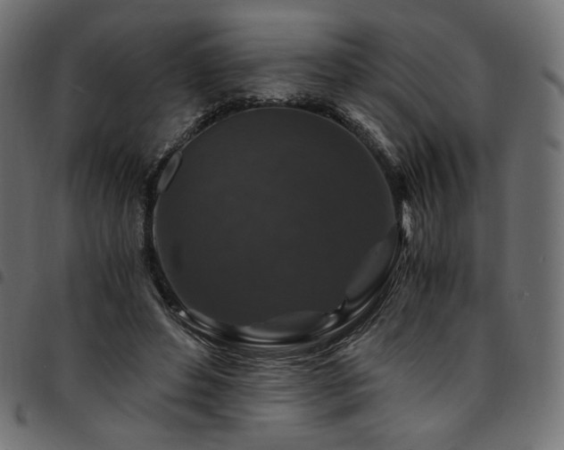 X0000095540496200712141528