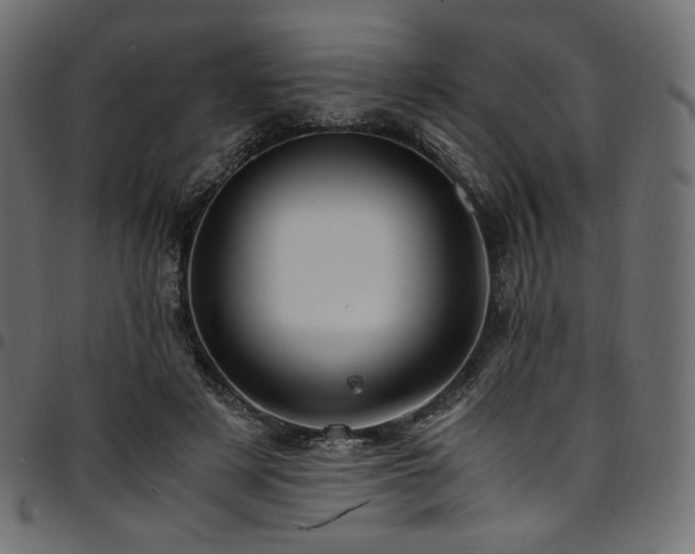 X0000095540497200712141528