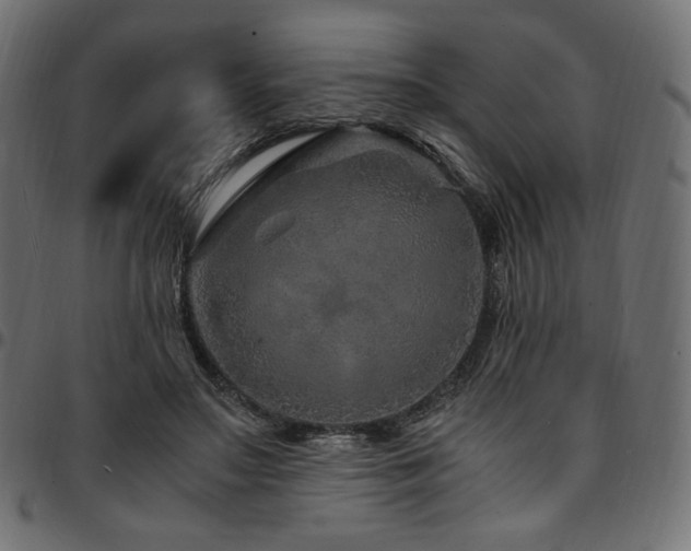 X0000095540499200712141528