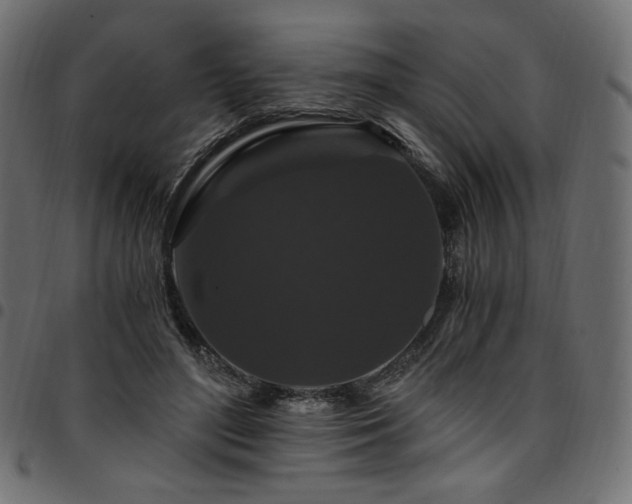 X0000095540500200712141528