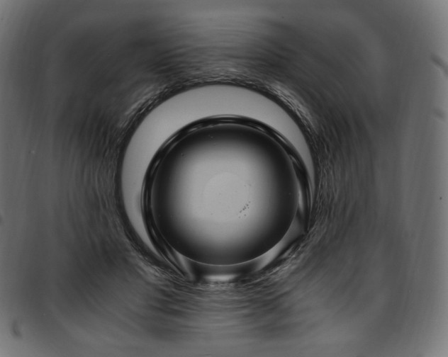 X0000095540501200712141528