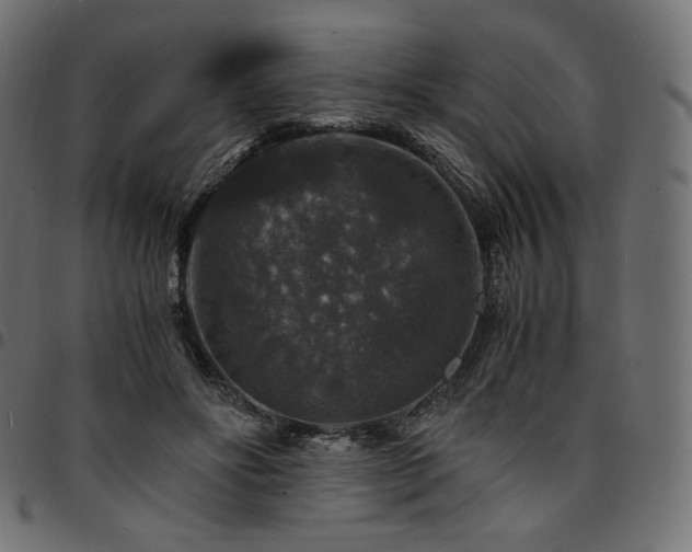 X0000095540502200712141528