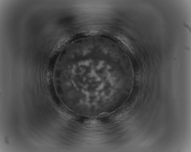 X0000095540503200712141528