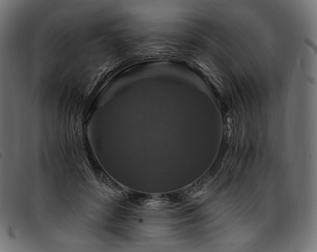 X0000095540504200712141528