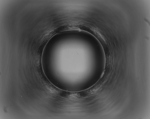 X0000095540505200712141528