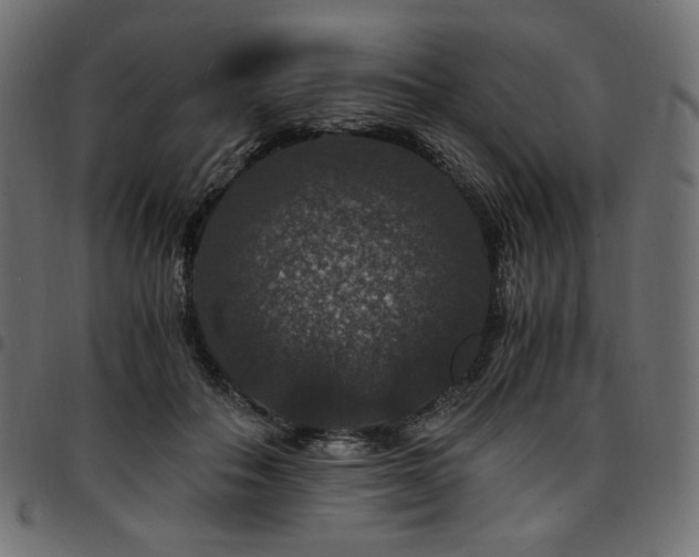 X0000095540506200712141528