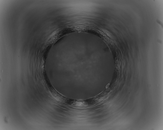 X0000095540507200712141528