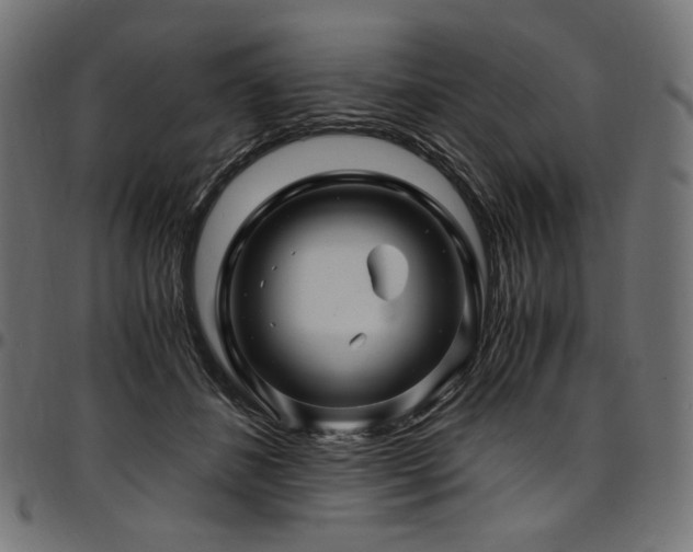 X0000095540508200712141528