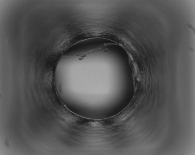 X0000095540509200712141527