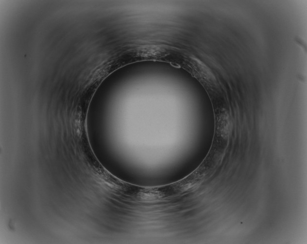 X0000095540510200712141527