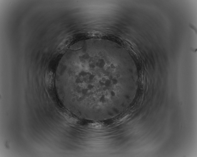 X0000095540511200712141527