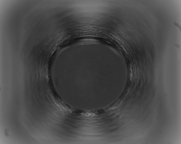 X0000095540512200712141527