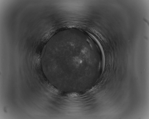 X0000095540513200712141527