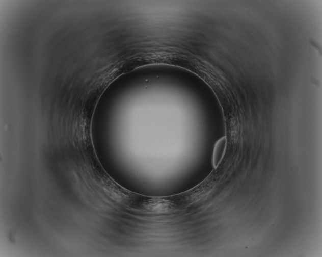 X0000095540514200712141527