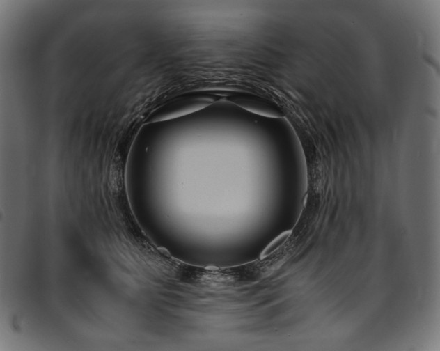 X0000095540515200712141527