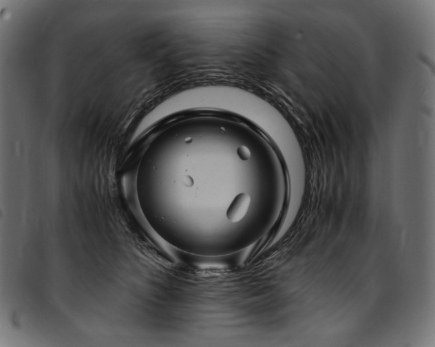 X0000095540516200712141527