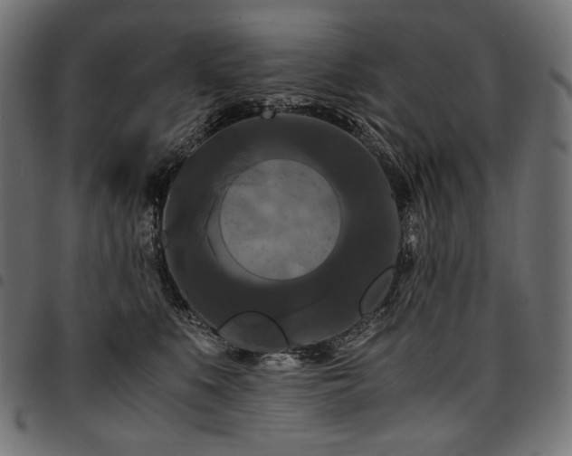 X0000095540519200712141527