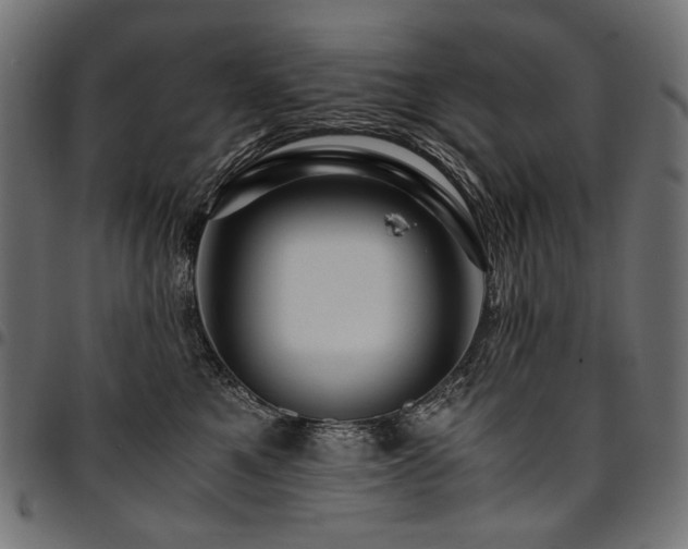 X0000095540521200712141527