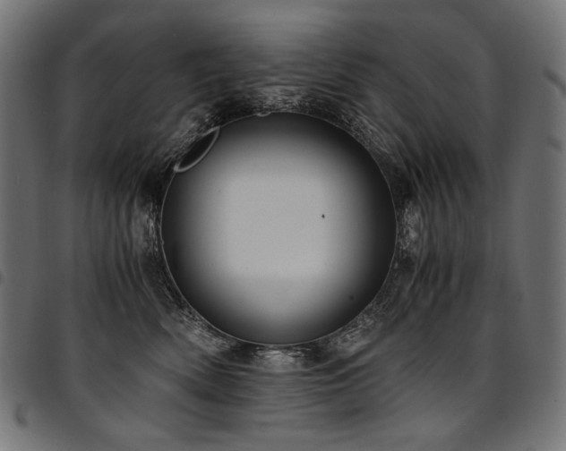 X0000095540522200712141527