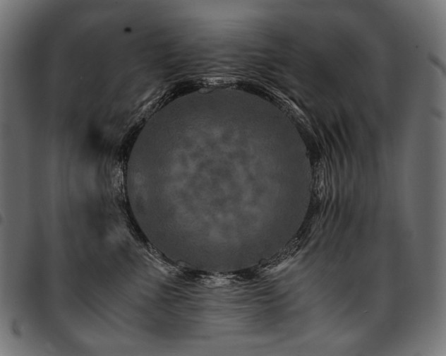 X0000095540523200712141527