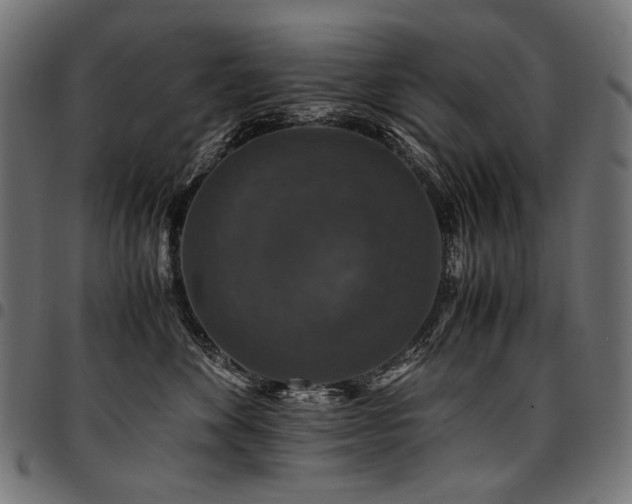 X0000095540524200712141527