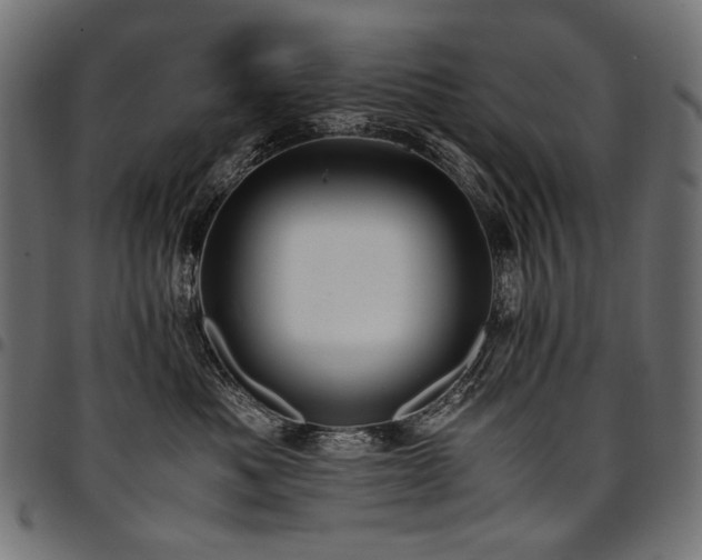 X0000095540525200712141527