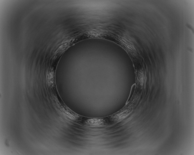 X0000095540526200712141527