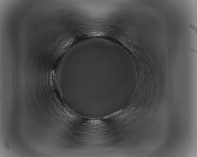 X0000095540528200712141527