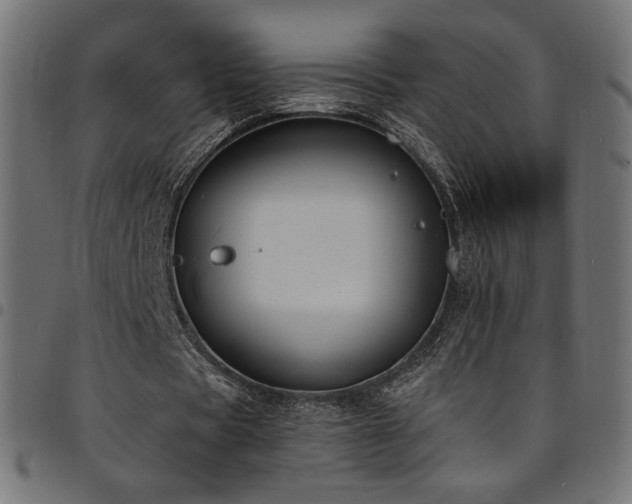 X0000095540529200712141527