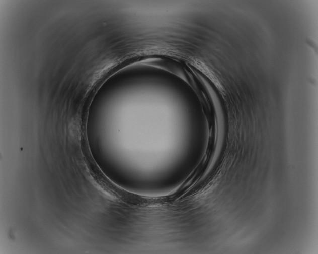 X0000095540530200712141527