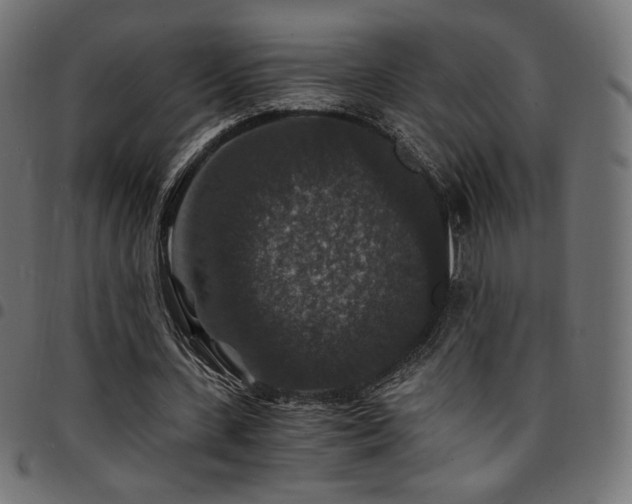 X0000095540531200712141527