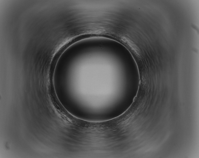 X0000095540532200712141527