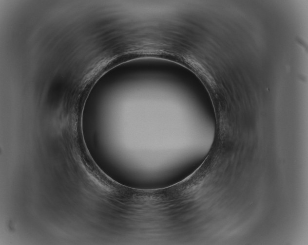 X0000095540533200712141527