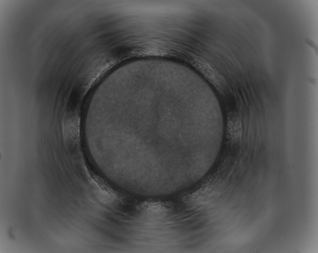 X0000095540534200712141527