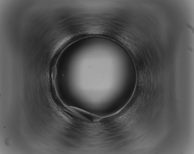 X0000095540535200712141527