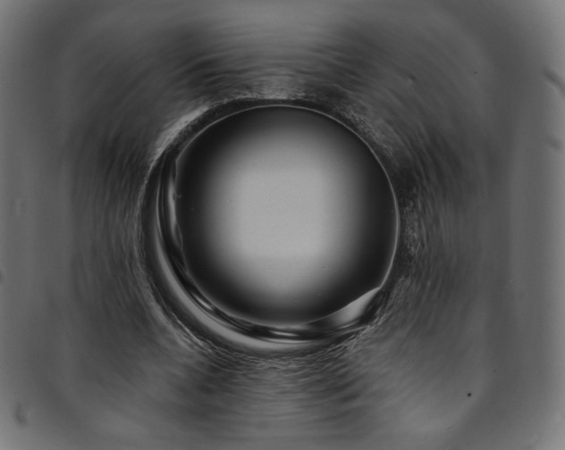 X0000095540536200712141527