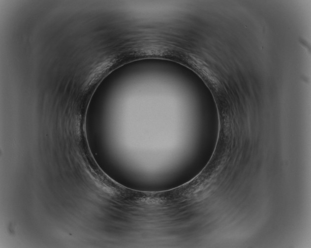 X0000095540537200712141527